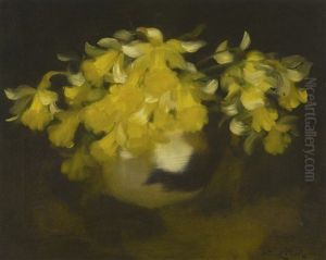 Daffodils by Stuart James Park