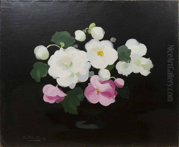 Pink And White Roses - view 1