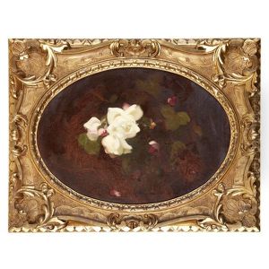 A Still Life Of Pink And White Roses by Stuart James Park