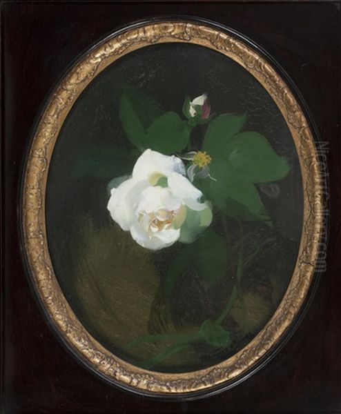 White Rose - view 1