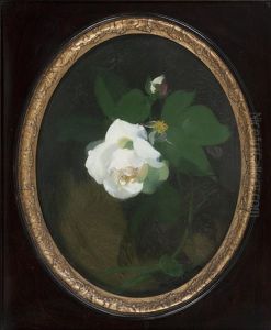 White Rose White Rose