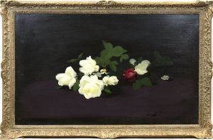 White And Red Roses by Stuart James Park
