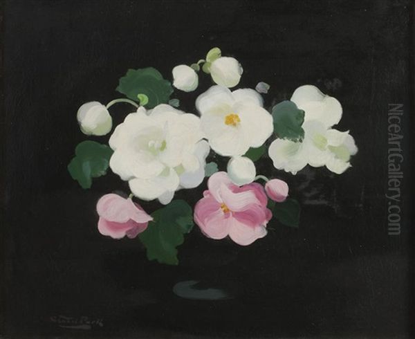 Wild Roses - view 1