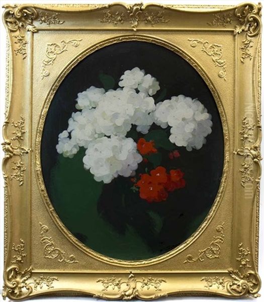 Geraniums - view 1