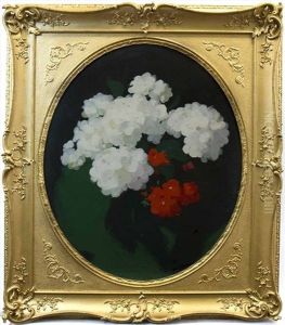 Geraniums