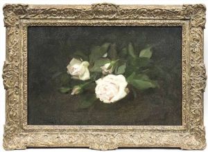 White Roses