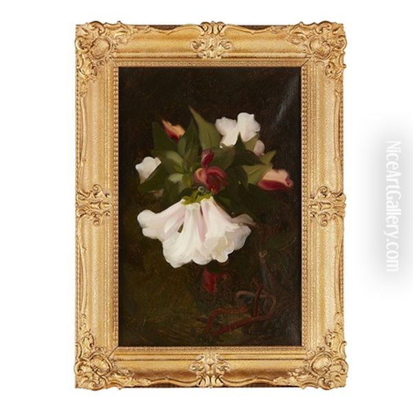 Pink And White Flowers, Against A Dark Background - view 1