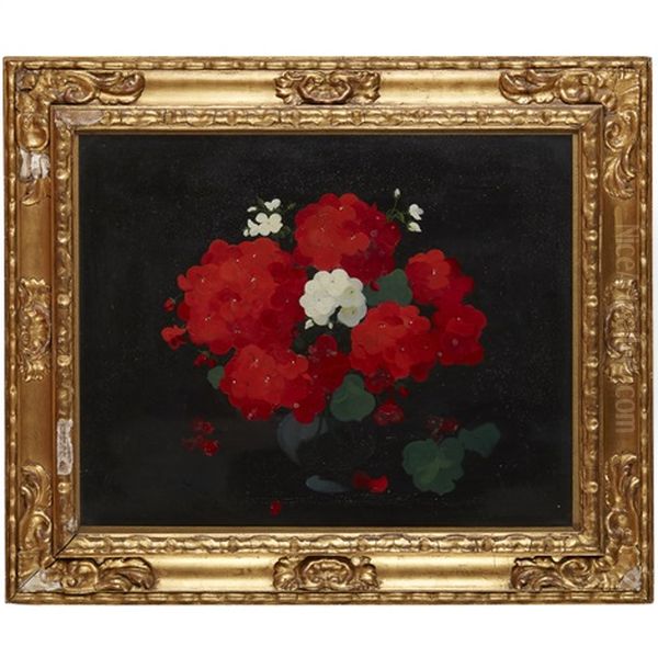 Geraniums - view 1