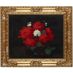Geraniums