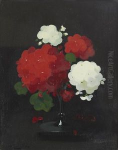 Geraniums by Stuart James Park
