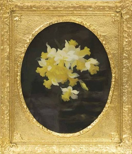Daffodils - view 1