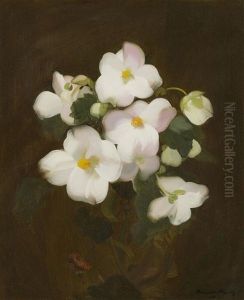 Christmas Roses by Stuart James Park