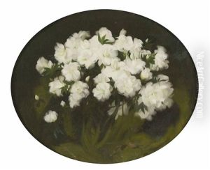 A Still Life Of Philadelphus A Still Life Of Philadelphus