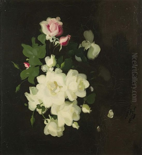Roses - view 1