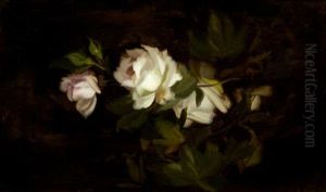 White Roses White Roses