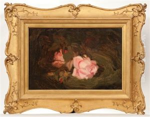 Pink Roses by Stuart James Park