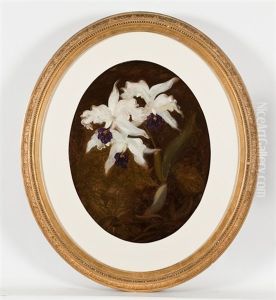 Orchids by Stuart James Park
