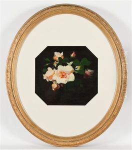 Pink Roses by Stuart James Park