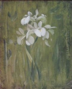 Irises Irises