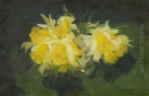 Daffodils by Stuart James Park