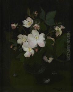 Still Life Of Pink Roses by Stuart James Park