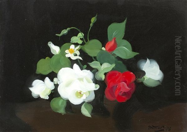 Red And White Roses - view 1