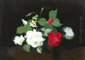 Red And White Roses by Stuart James Park