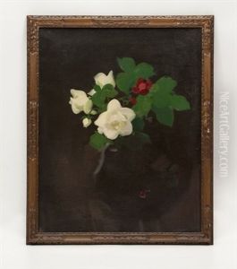 White And Red Roses by Stuart James Park