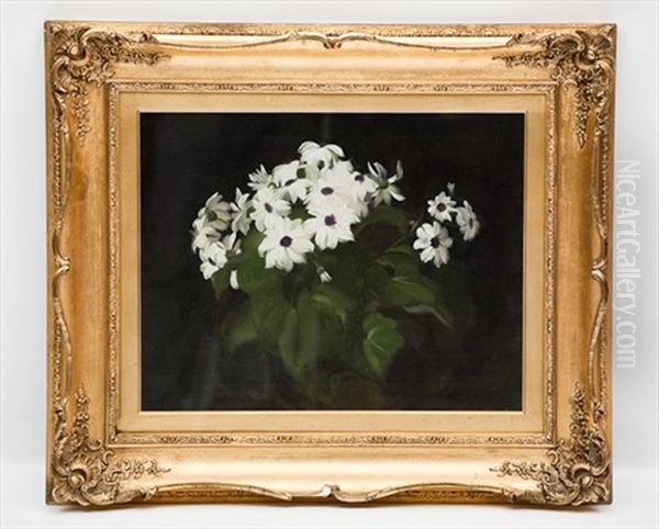 Still Life Of Daisies - view 1
