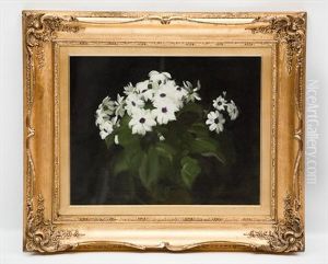 Still Life Of Daisies