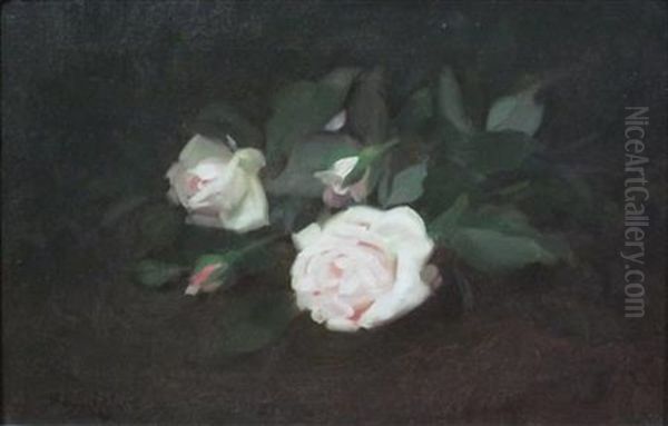 Pale Pink Roses - view 1