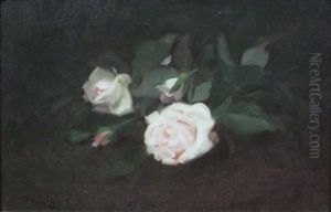 Pale Pink Roses by Stuart James Park
