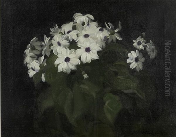 Still Life With White Blooms - view 1