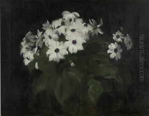 Still Life With White Blooms Still Life With White Blooms