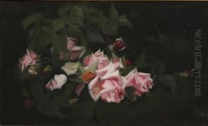 Pink Roses Pink Roses