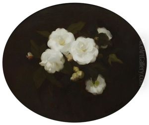 White Roses White Roses