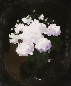Vase Of White Hydrangeas by Stuart James Park