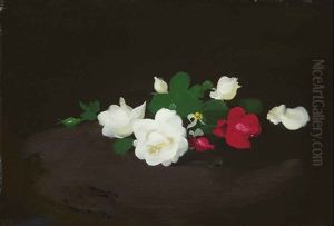 White And Pink Roses On A Round Table by Stuart James Park