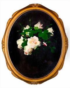 White Roses White Roses