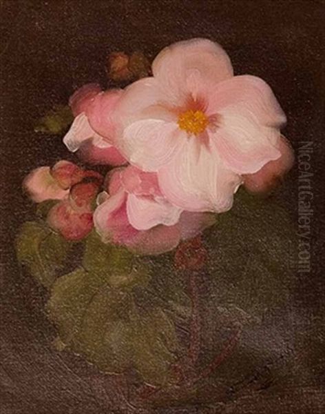Still Life In Pink - view 1