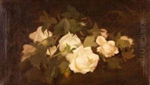 White Roses