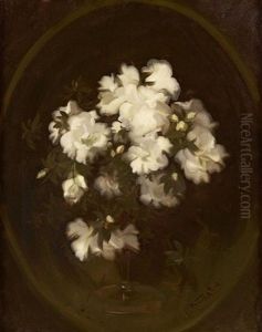 Still Life Of White Roses