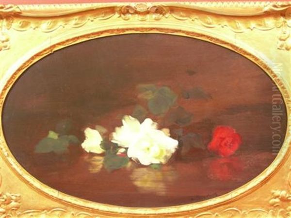 Red And White Roses - view 1