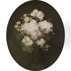 Primulas by Stuart James Park