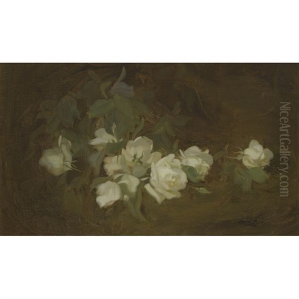 Cream Roses - view 1