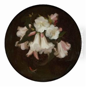 Lilies by Stuart James Park