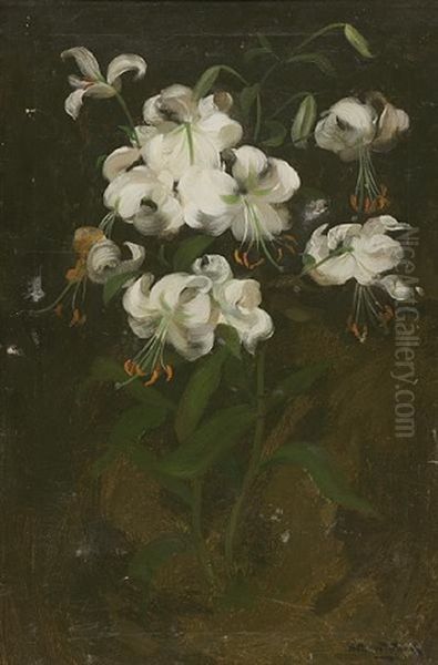 White Lilies - view 1