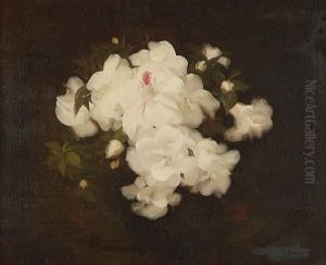 White Camellia Blossom