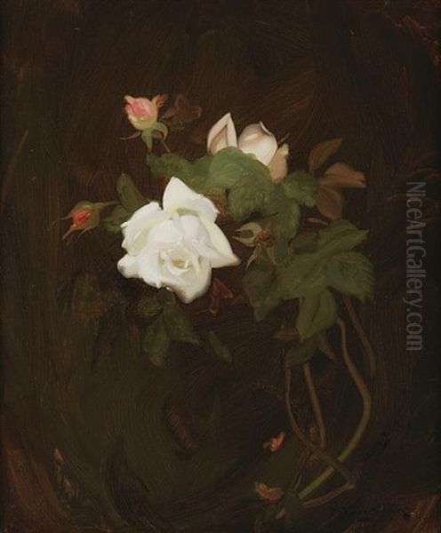 Cream And Pink Roses - view 1
