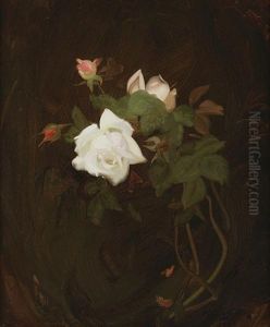 Cream And Pink Roses by Stuart James Park